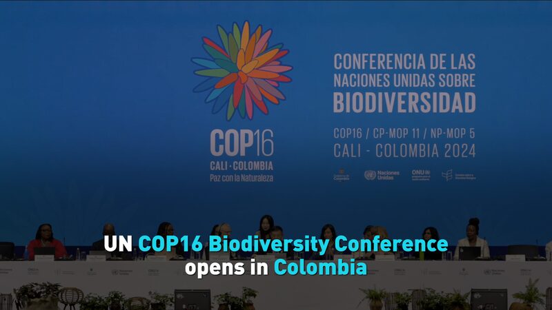 UN_COP16_Biodiversity_Conference_Kicks_Off_in_Colombia_with_Calls_for_Action__ video poster