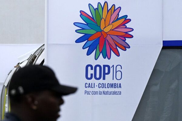 🌍 UN Chief Calls for Big Investment to Save Nature at Colombia Summit __UN_Chief_Calls_for_Big_Investment_to_Save_Nature_at_Colombia_Summit