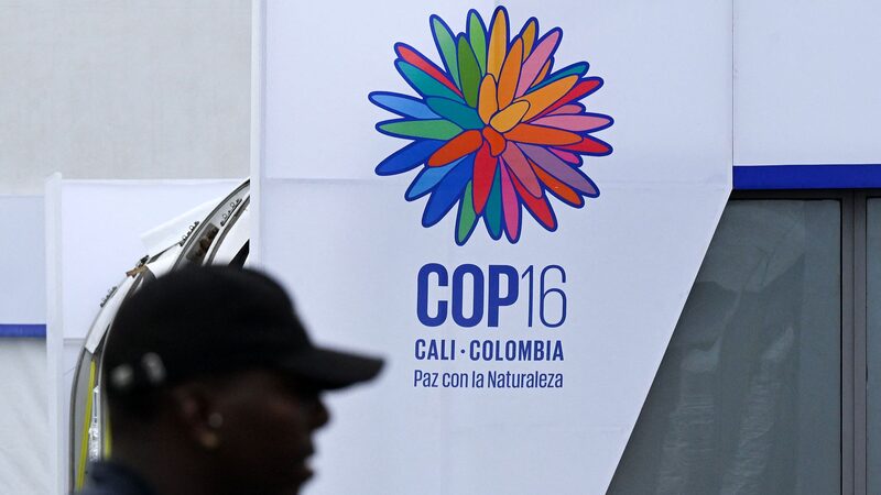UN_Chief_Calls_for_Big_Investment_to_Save_Nature_at_Colombia_Summit - News for amigos, by amigos __UN_Chief_Calls_for_Big_Investment_to_Save_Nature_at_Colombia_Summit