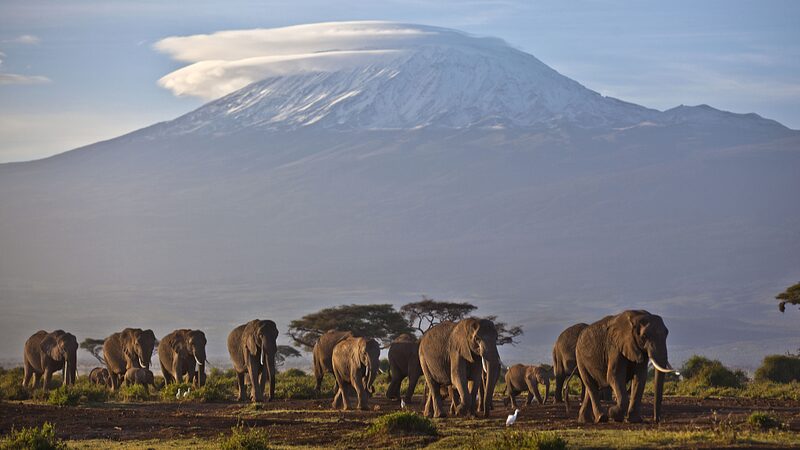 UN_Declares_2027_the_Year_of_Sustainable___Resilient_Tourism____ - News for amigos, by amigos UN_Declares_2027_the_Year_of_Sustainable___Resilient_Tourism____