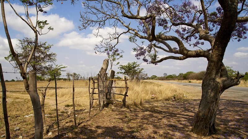 UN_Raises_Alarm__Drought_in_Southern_Africa_Threatens_Millions___ - News for amigos, by amigos UN_Raises_Alarm__Drought_in_Southern_Africa_Threatens_Millions___