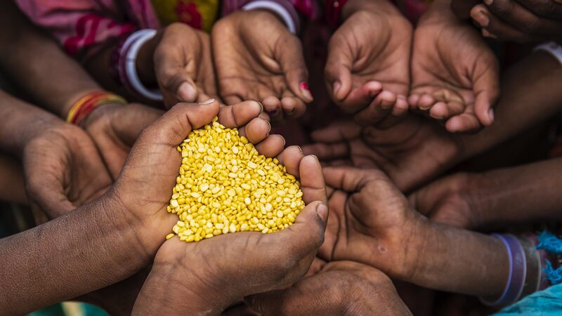 UN_Report_Reveals_733_Million_Facing_Hunger_in_2023___ - News for amigos, by amigos UN_Report_Reveals_733_Million_Facing_Hunger_in_2023___