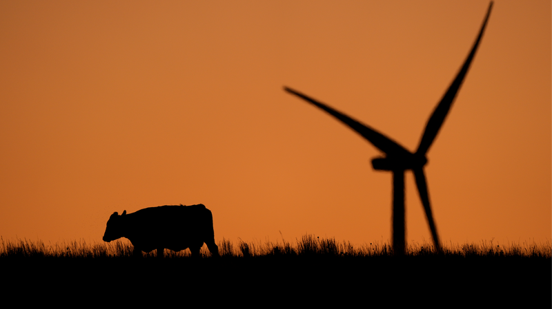 UN_Report__Act_Now_or_Face_Climate_Catastrophe___ - News for amigos, by amigos UN_Report__Act_Now_or_Face_Climate_Catastrophe___