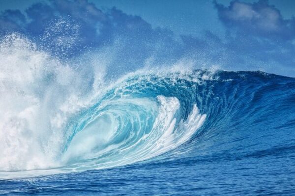 UN Urges Immediate Action to Protect Our Oceans 🌊 UN_Urges_Immediate_Action_to_Protect_Our_Oceans__