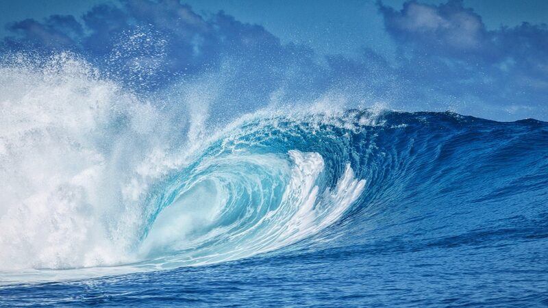 UN_Urges_Immediate_Action_to_Protect_Our_Oceans__ - News for amigos, by amigos UN_Urges_Immediate_Action_to_Protect_Our_Oceans__