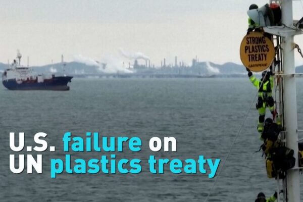 UN’s Mission to End Plastic Pollution Hits Snag as US Steps Back 😮 UN_s_Mission_to_End_Plastic_Pollution_Hits_Snag_as_US_Steps_Back__ video poster