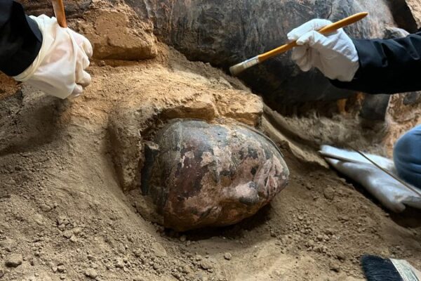 Unearthing History: 50 Years of Terracotta Warriors’ Mysteries Revealed 🎉 Unearthing_History__50_Years_of_Terracotta_Warriors__Mysteries_Revealed__