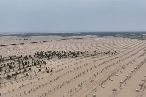 Uniting for Land: Celebrating World Desertification and Drought Day 🌍 Uniting_for_Land__Celebrating_World_Desertification_and_Drought_Day__ video poster