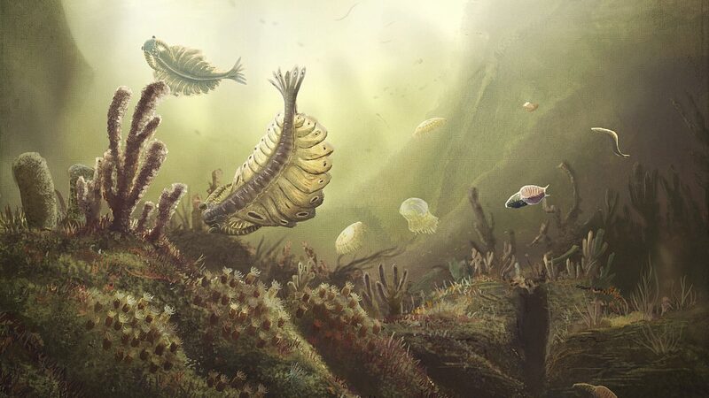 Unlocking_the_Cambrian_Mystery__Chinese_Scientists_Discover_Key_to_Life_s_Big_Bang___ - News for amigos, by amigos Unlocking_the_Cambrian_Mystery__Chinese_Scientists_Discover_Key_to_Life_s_Big_Bang___