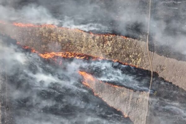 🔥 Unpredictable Flames: The Growing Menace of Wildfires in the US 🔥 __Unpredictable_Flames__The_Growing_Menace_of_Wildfires_in_the_US__ video poster