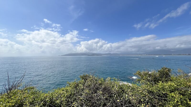 Unveiling_Nature_s_Secrets__2024_s_Most_Fascinating_Discoveries