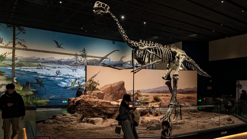 Unveiling_Nature_s_Secrets_at_China_s_Mega_Palaeozoological_Museum___ - News for amigos, by amigos Unveiling_Nature_s_Secrets_at_China_s_Mega_Palaeozoological_Museum___