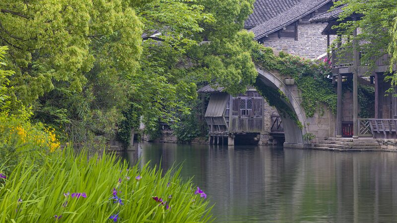 Unveiling_Puyuan__Where_History_Meets_Fashion_in_Zhejiang_s_Chic_Ancient_Town video poster