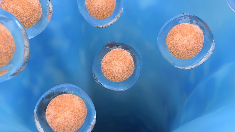 __Unveiling_the_Blueprint_of_Life__Scientists_Map_Human_Cells_for_a_Healthier_Future