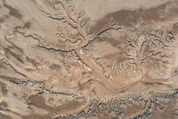 Unveiling the ‘Tree of the Earth’: The Yellow River’s Winter Magic in Henan 🌳✨ Unveiling_the__Tree_of_the_Earth___The_Yellow_River_s_Winter_Magic_in_Henan___