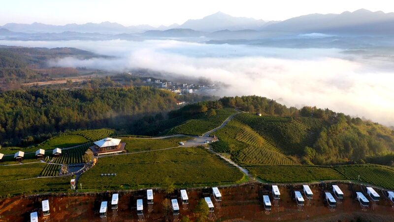 Up_in_the_Clouds__Discovering_Anhui_s_Enchanting_Tea_Plantations video poster