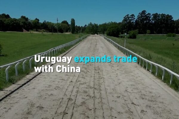 Uruguay’s Presidential Candidates Agree: Closer Ties with China Are a Must Uruguay_s_Presidential_Candidates_Agree__Closer_Ties_with_China_Are_a_Must video poster