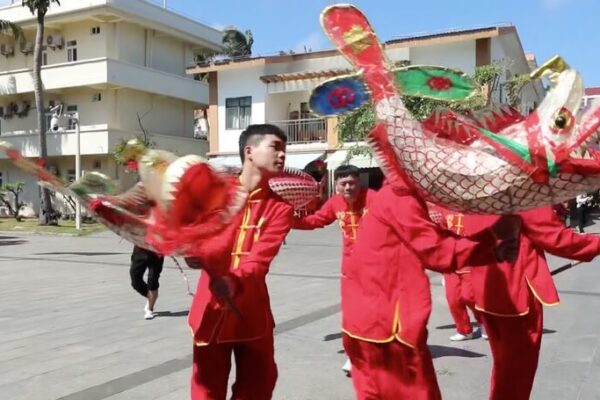 Vibrant_Carp_Lantern_Dance_Lights_Up_Sansha_Streets_for_Spring_Festival video poster
