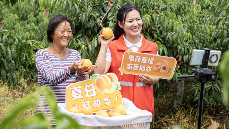 Village_Chief_s_Livestream_Boosts_Rural_Revival_in_Hunan__ - News for amigos, by amigos Village_Chief_s_Livestream_Boosts_Rural_Revival_in_Hunan__