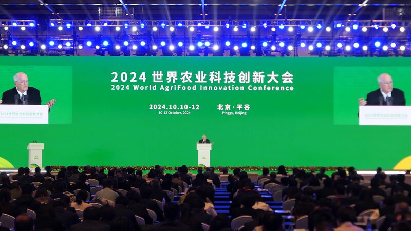 WAFI_2024__Plantable_Leaflets_and_Going_Green_in_Beijing_ - News for amigos, by amigos __WAFI_2024__Plantable_Leaflets_and_Going_Green_in_Beijing_
