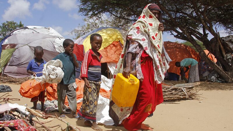 WHO_Launches_New_Project_to_Aid_900_000_Somalis_Impacted_by_Climate_Events__ - News for amigos, by amigos WHO_Launches_New_Project_to_Aid_900_000_Somalis_Impacted_by_Climate_Events__