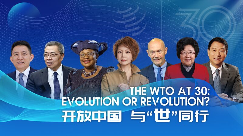 WTO_at_30__CGTN_s_Tian_Wei_Explores_Trade_s_Transformative_Power__ video poster