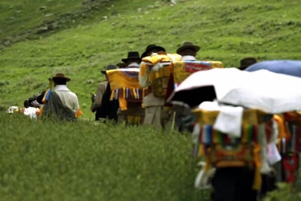 Wangguo Festival: Jiuhe Village Celebrates Harvest with Vibrant Traditions 🎉🌾 Wangguo_Festival__Jiuhe_Village_Celebrates_Harvest_with_Vibrant_Traditions___ video poster