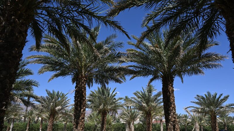 Western_U_S__Sizzles__Early_Summer_Heat_Wave_Shatters_Records___ - News for amigos, by amigos Western_U_S__Sizzles__Early_Summer_Heat_Wave_Shatters_Records___