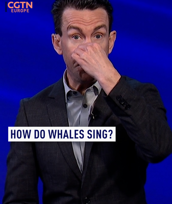 Whales’ Singing Secrets Revealed—And Why They Need Us to Listen Whales__Singing_Secrets_Revealed_And_Why_They_Need_Us_to_Listen video poster