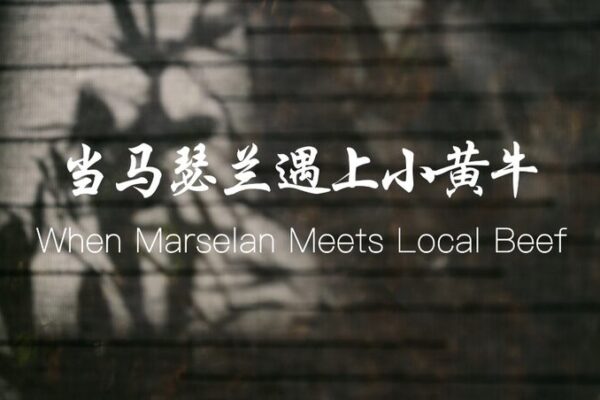 When Marselan Meets Local Beef: Ma Liang’s Wine Adventure in Ningxia 🍷🇨🇳 When_Marselan_Meets_Local_Beef__Ma_Liang_s_Wine_Adventure_in_Ningxia____ video poster