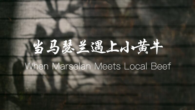 When_Marselan_Meets_Local_Beef__Ma_Liang_s_Wine_Adventure_in_Ningxia_____poster - News for amigos, by amigos When_Marselan_Meets_Local_Beef__Ma_Liang_s_Wine_Adventure_in_Ningxia____ video poster