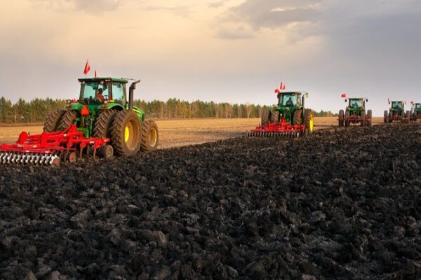 Why Black Soil is the ‘Panda of Farmland’ 🐼🌱 Why_Black_Soil_is_the__Panda_of_Farmland____