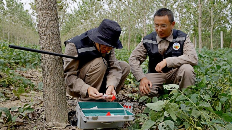 Wild_Heroes__Rescuing_Milu_Deer_in_Jiangsu_s_Dafeng_Reserve - News for amigos, by amigos Wild_Heroes__Rescuing_Milu_Deer_in_Jiangsu_s_Dafeng_Reserve