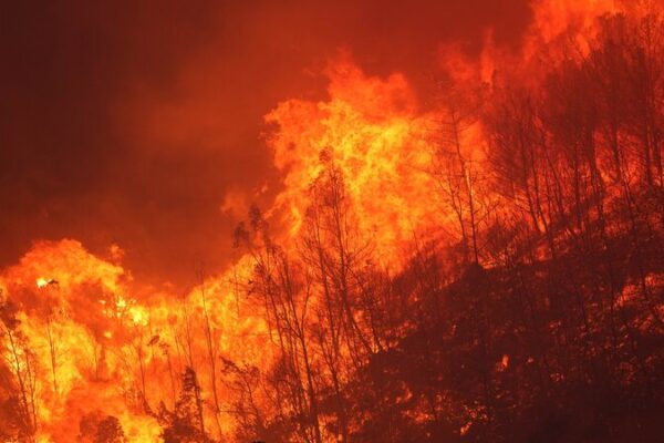 🔥 Wildfire Sweeps Izmir, Türkiye: Hundreds Evacuate as Flames Reach Homes __Wildfire_Sweeps_Izmir__Tu_rkiye__Hundreds_Evacuate_as_Flames_Reach_Homes