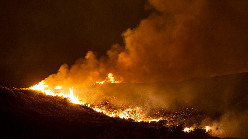 Wildfires_Ravage_Greece_s_Rhodes_Island__Evacuations_Ongoing_poster - News for amigos, by amigos __Wildfires_Ravage_Greece_s_Rhodes_Island__Evacuations_Ongoing video poster