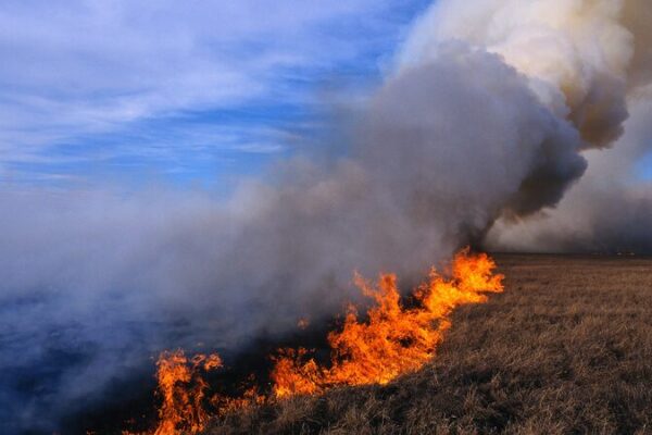 Wildfires_Ravage_Over_685_000_Hectares_in_Mongolia__