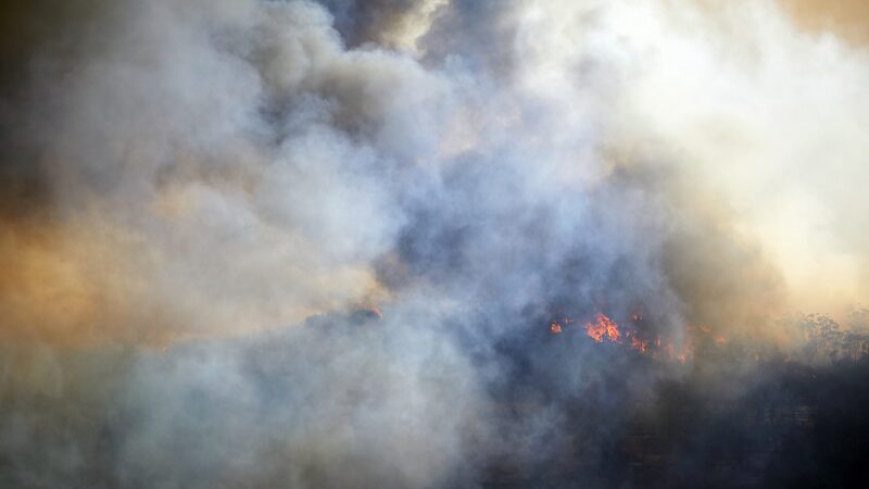 Wildfires_Spew_Massive_CO2_Emissions__Alarming_New_Study_Reveals___