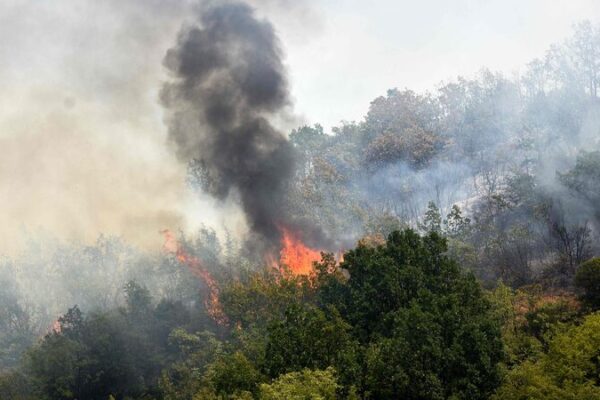 🔥 Wildfires Sweep Southern Europe Amid Scorching Heatwave __Wildfires_Sweep_Southern_Europe_Amid_Scorching_Heatwave
