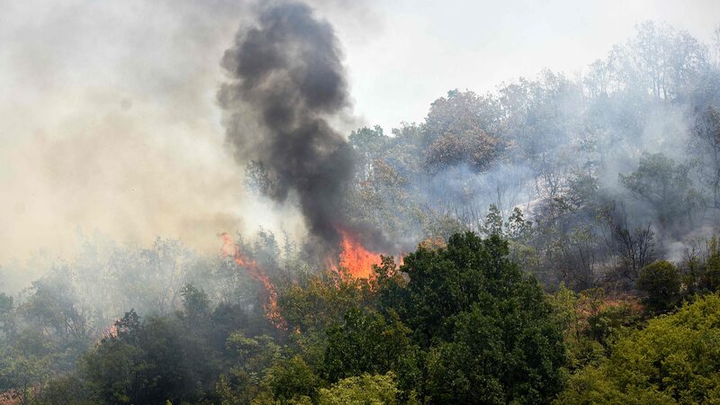 Wildfires_Sweep_Southern_Europe_Amid_Scorching_Heatwave - News for amigos, by amigos __Wildfires_Sweep_Southern_Europe_Amid_Scorching_Heatwave