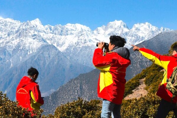 Wildlife Comeback in Xizang: Ecological Guardians Save the Day 🌿 Wildlife_Comeback_in_Xizang__Ecological_Guardians_Save_the_Day__