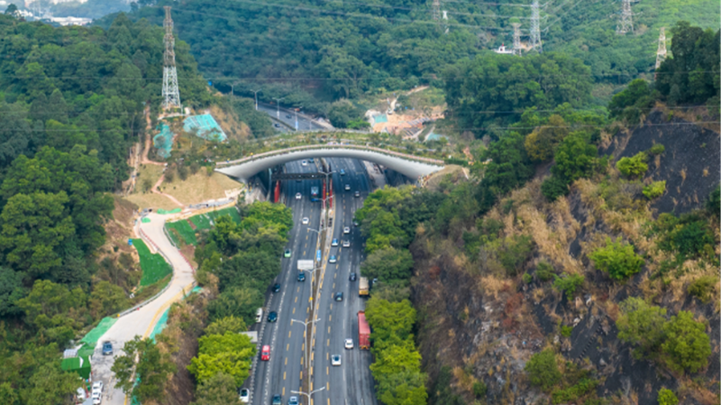 Wildlife_Only__Shenzhen_s_Kunpeng_Overpass_Connects_Nature__