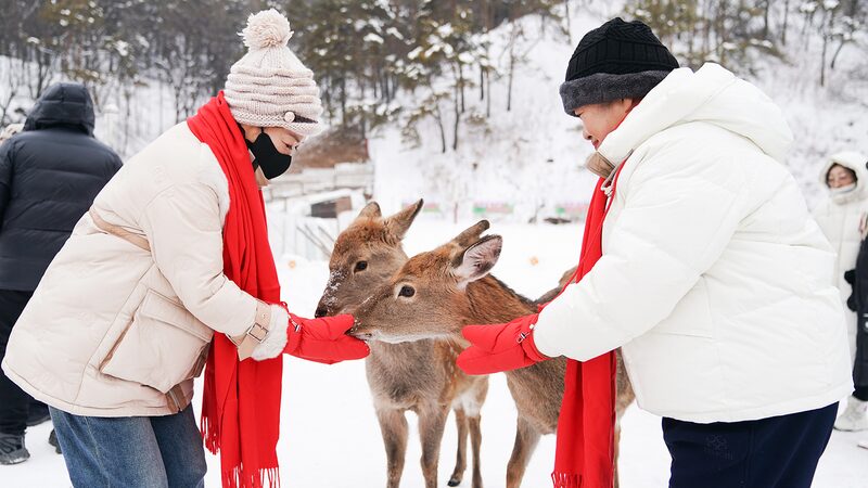 Winter_Wonderland_Awaits__Snow_Fun_Season_in_Jinlin_District____ - News for amigos, by amigos Winter_Wonderland_Awaits__Snow_Fun_Season_in_Jinlin_District____