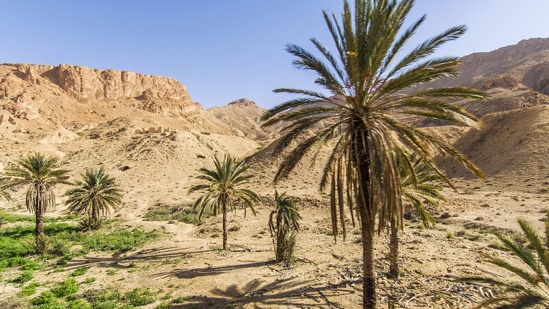 World_Bank_Steps_Up_to_Help_Tunisia_Tackle_Water_Scarcity___and_Climate_Change__