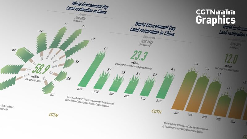 World_Environment_Day_Spotlight__China_s_Decade_Long_Green_Transformation__