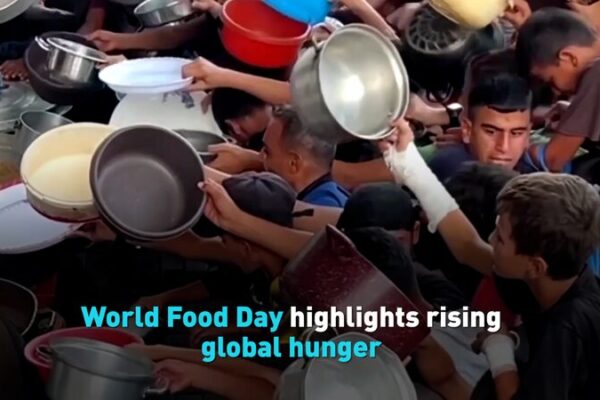 World Food Day 2023: Global Hunger on the Rise 🌍🍽️ World_Food_Day_2023__Global_Hunger_on_the_Rise____ video poster