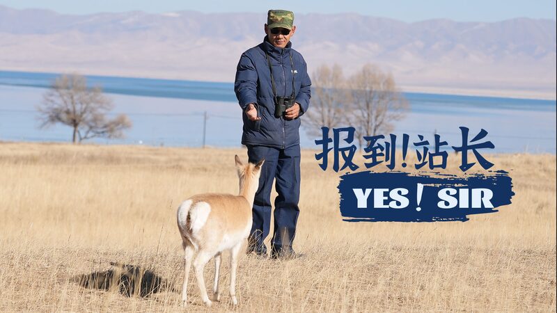 World_Ranger_Day_2024__Celebrating_Nature_s_Guardians_and_the__30_by_30__Mission video poster