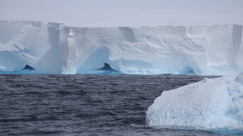 World_s_Biggest_Iceberg_A23a_Sets_Sail__Nature_s_Giant_on_the_Move__ - News for amigos, by amigos World_s_Biggest_Iceberg_A23a_Sets_Sail__Nature_s_Giant_on_the_Move__