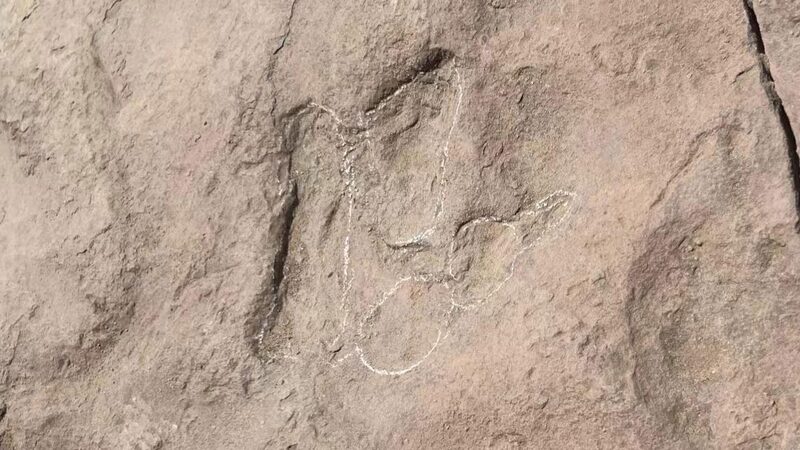World_s_Smallest_Dinosaur_Footprints_Unearthed_in_Northwest_China__ - News for amigos, by amigos World_s_Smallest_Dinosaur_Footprints_Unearthed_in_Northwest_China__