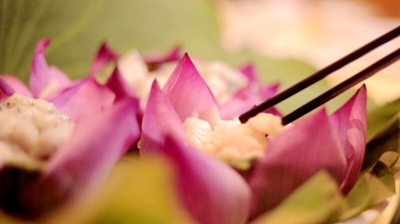 Wuxi_s_Lotus_Festival__A_Summer_Bloom_You_Can_t_Miss_ - News for amigos, by amigos __Wuxi_s_Lotus_Festival__A_Summer_Bloom_You_Can_t_Miss_