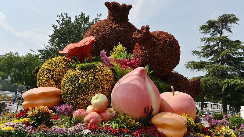 Xi_Jinping_Calls_for_Unity_Among_All_Ethnic_Groups_in_China_ - News for amigos, by amigos Xi_Jinping_Calls_for_Unity_Among_All_Ethnic_Groups_in_China_